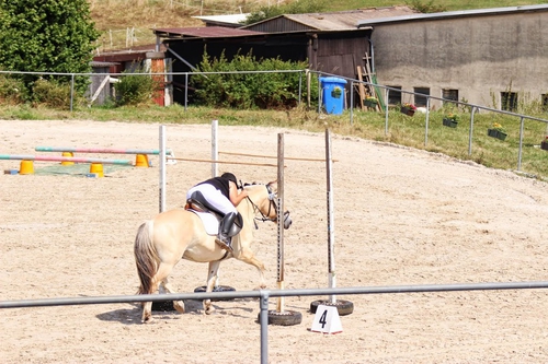 schwierig - tiefhängende Äste im Galopp