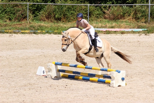 Lasse im Aktionsparcours